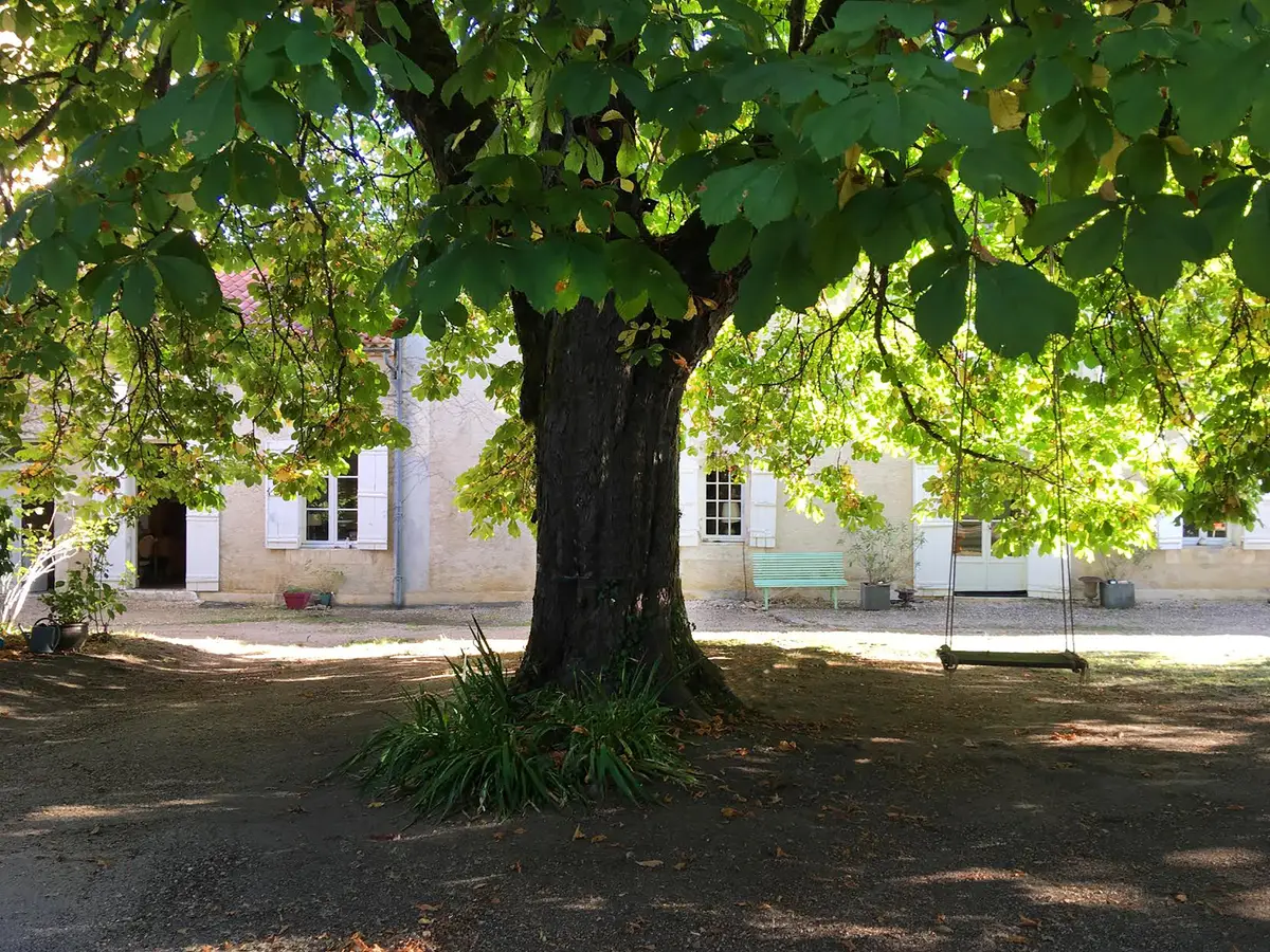 La cour de la maison de Terre Neuve, entourée de verdure